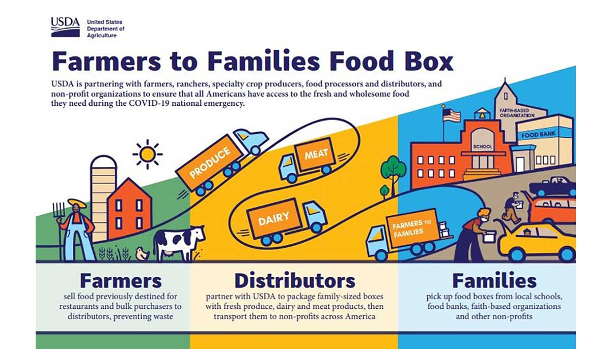 The Farm to Families Food Box Program supports farmers + school nutrition.