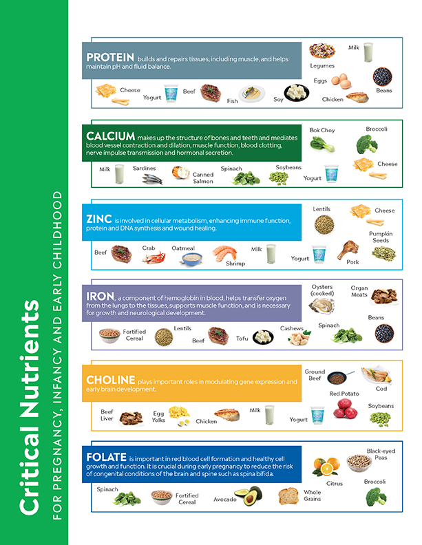 TABLE_CriticalNutrients_Page1