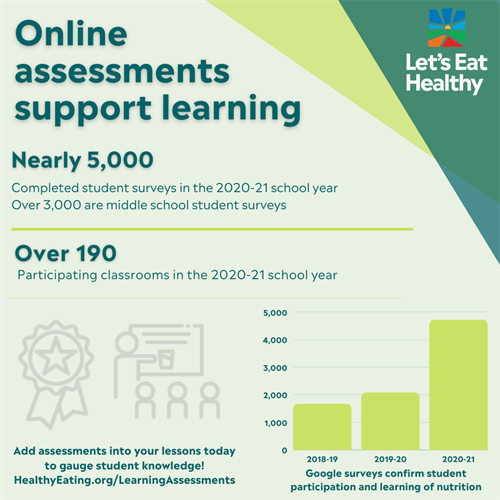 Supporting student learning with online assessments