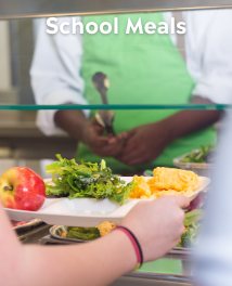 FoodAccess_Ed+Advocates_SchoolMeals_ProdCatCard